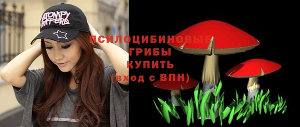 MDMA Новозыбков