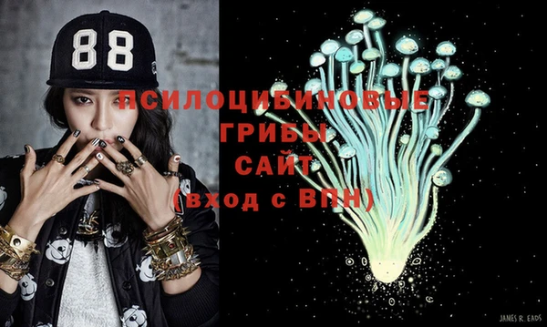 MDMA Новозыбков